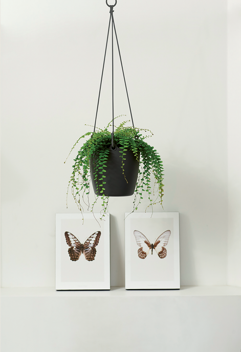 brussels hangschaal 18cm antraciet